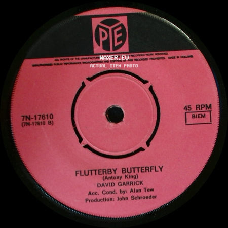David Garrick - Flutterby Butterfly / A Little Bit Of This (And A Little Bit Of That) side A