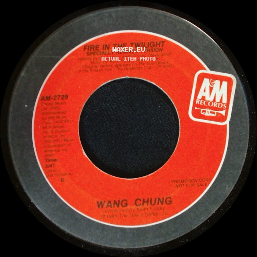 Wang Chung - Fire In The Twilight / Fire In The Twilight Specially Remixed Version side A