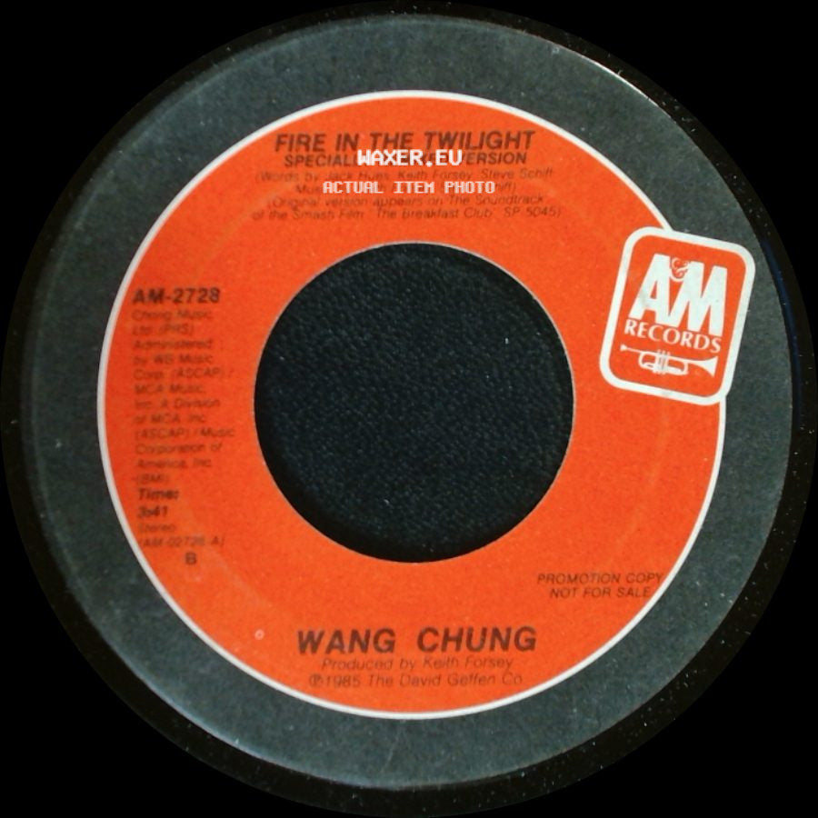 Wang Chung - Fire In The Twilight / Fire In The Twilight Specially Remixed Version side B