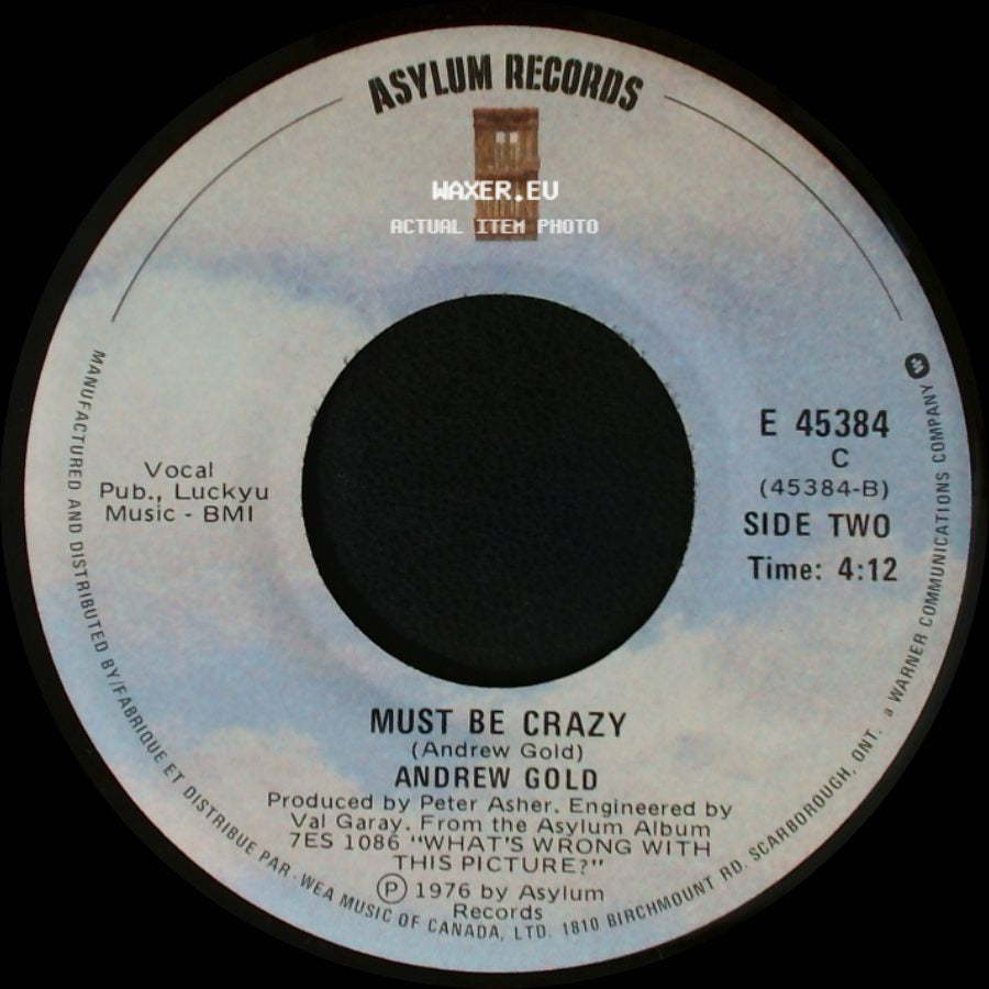 Andrew Gold - Lonely Boy / Must Be Crazy side B