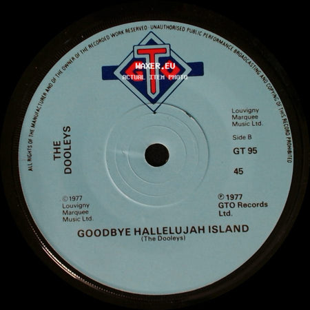 The Dooleys - Think I'm Gonna Fall In Love With You / Goodbye Hallelujah Island side B