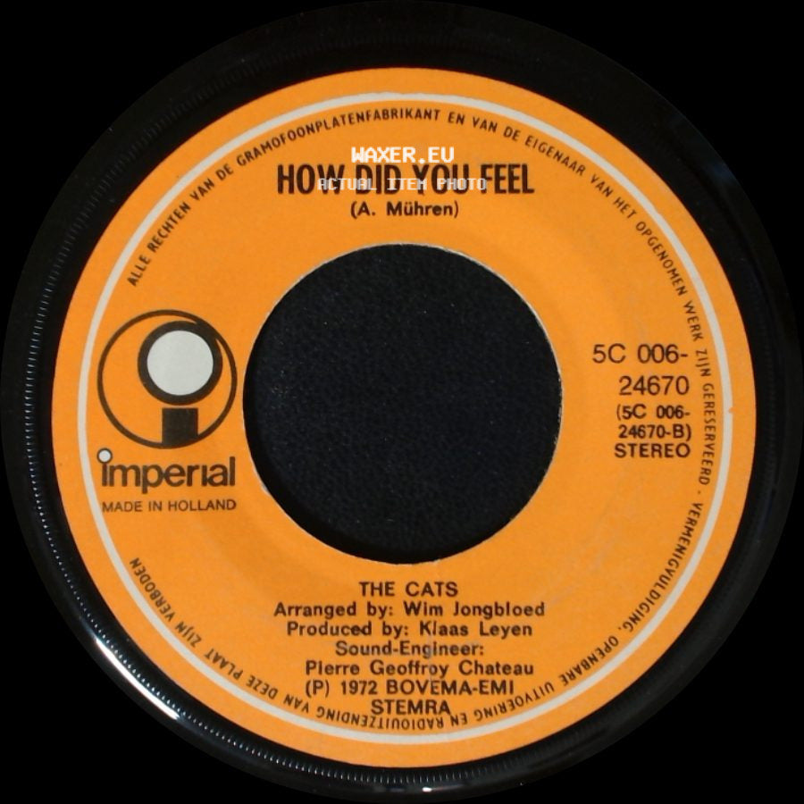 The Cats - There Has Been A Time / How Did You Feel side B
