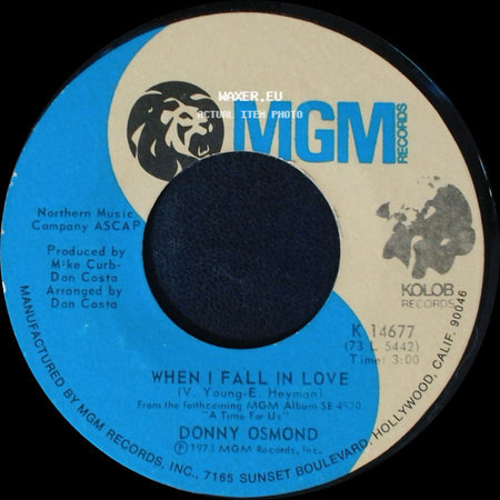 Donny Osmond - Are You Lonesome Tonight / When I Fall In Love side B