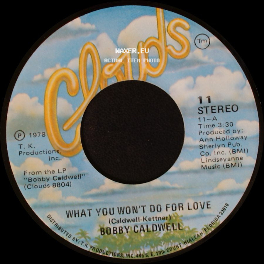 Bobby Caldwell - What You Won't Do For Love / What You Won't Do For Love side B