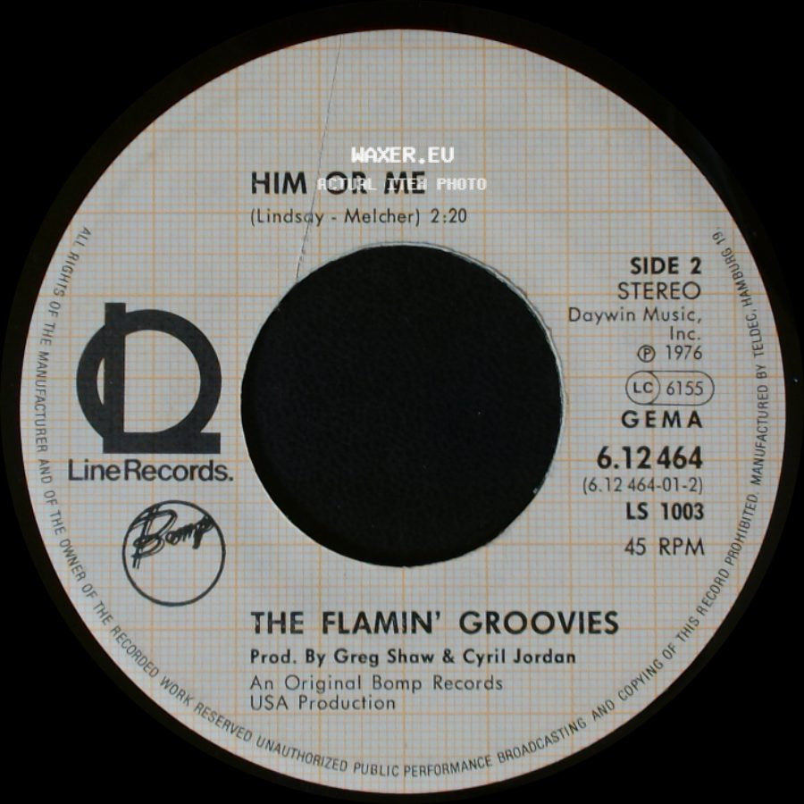 The Flamin' Groovies - You Tore Me Down / Him Or Me side B