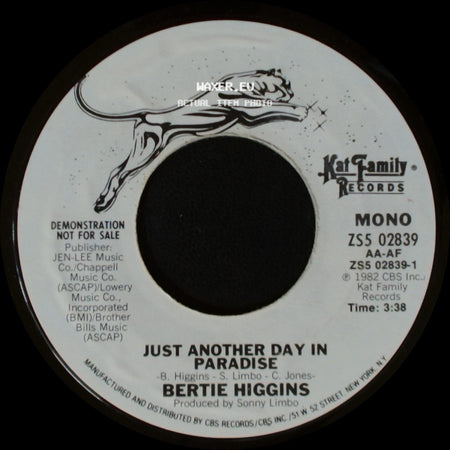 Bertie Higgins - Just Another Day In Paradise / Just Another Day In Paradise side B