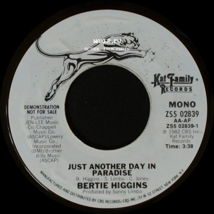 Bertie Higgins - Just Another Day In Paradise / Just Another Day In Paradise side B