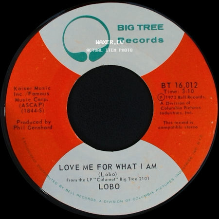 Lobo - Love Me For What I Am / There Ain't No Way side A