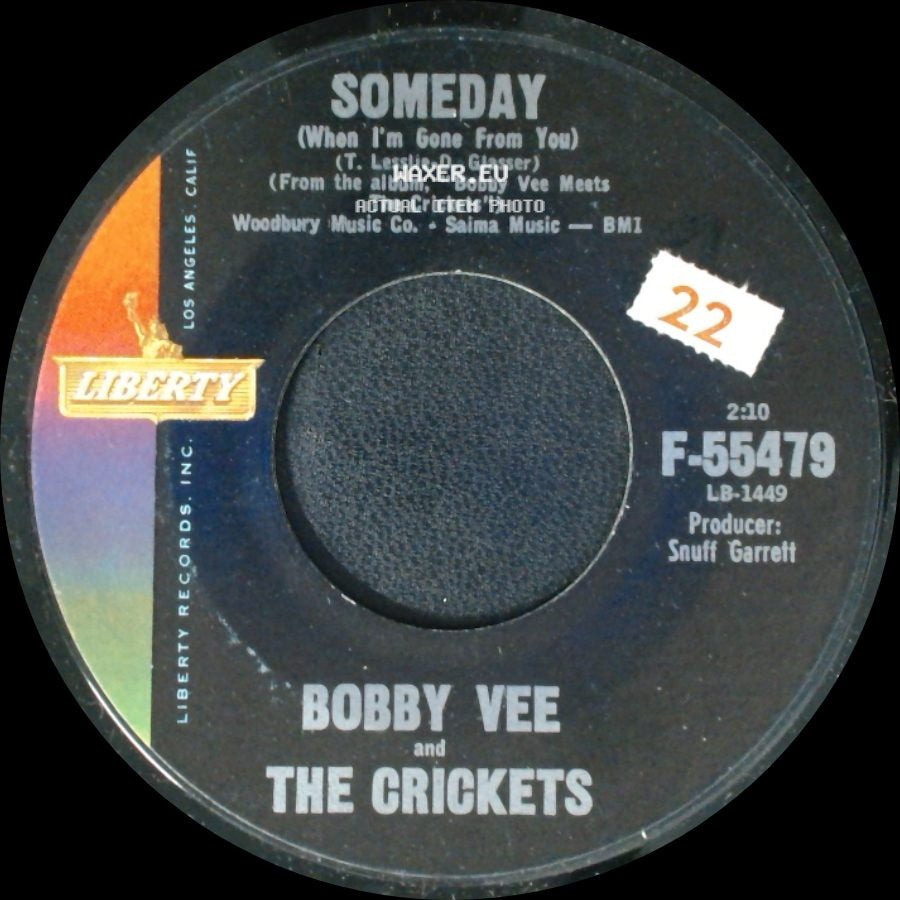Bobby Vee And The Crickets / Bobby Vee - Someday (When I'm Gone From You) / Punish Her side A