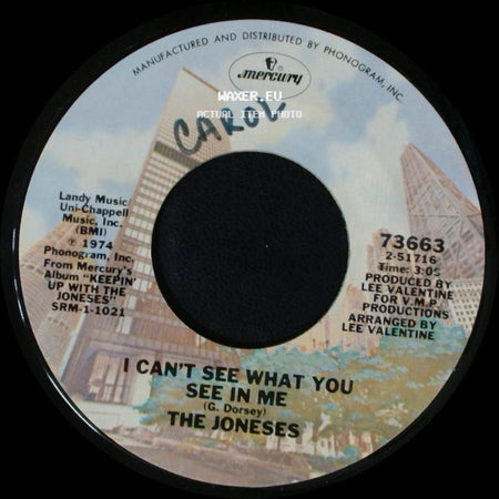 The Joneses - I Can't See What You See In Me / Our Love Song side A
