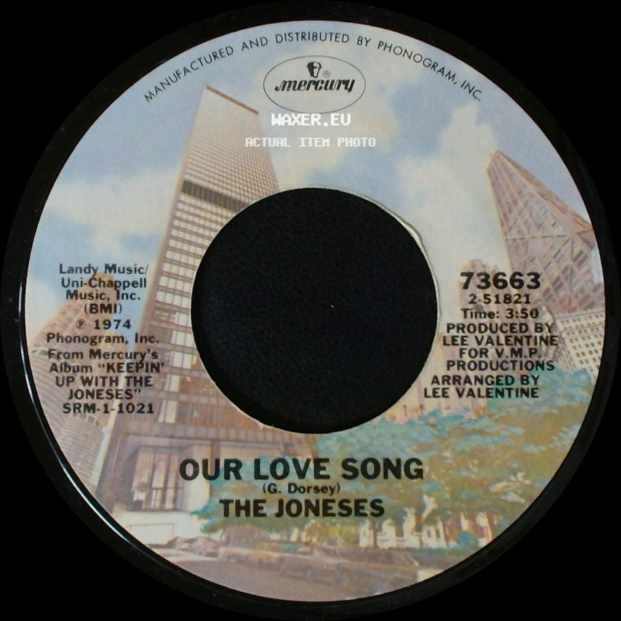 The Joneses - I Can't See What You See In Me / Our Love Song side B