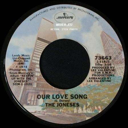 The Joneses - I Can't See What You See In Me / Our Love Song side B