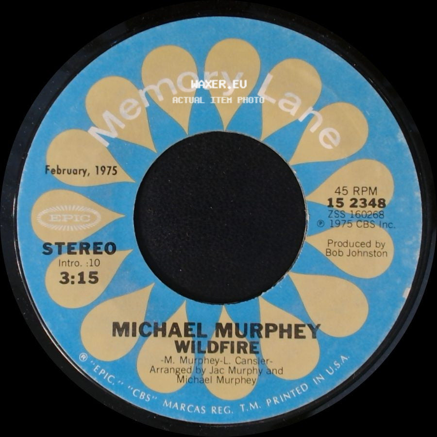 Michael Murphey - A Mansion On The Hill / Wildfire side B