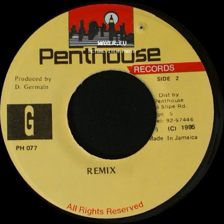 Wayne Wonder - Rumours / Remix side B