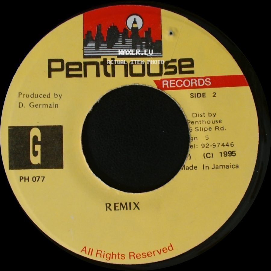 Wayne Wonder - Rumours / Remix side B