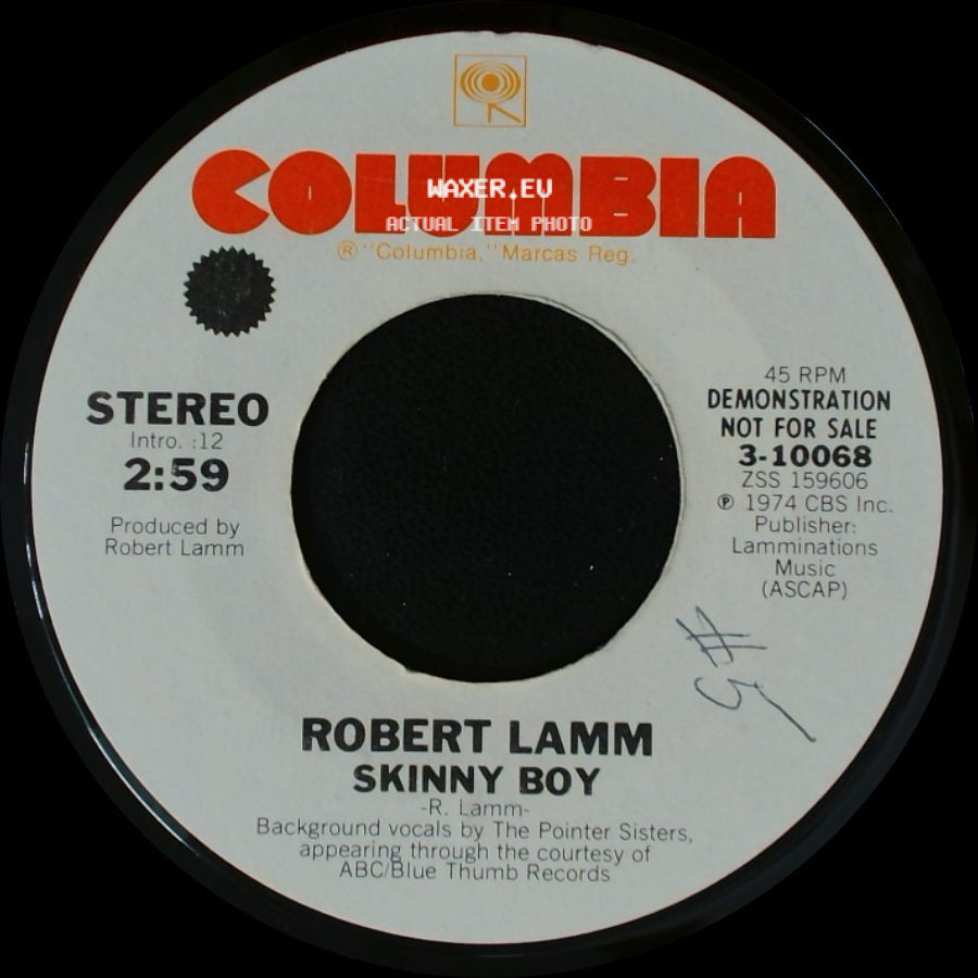 Robert Lamm - Temporary Jones / Skinny Boy side B