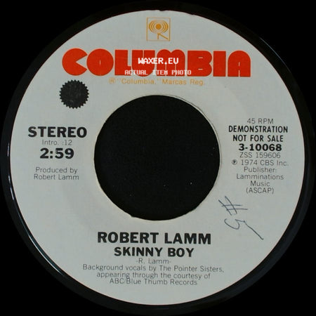 Robert Lamm - Temporary Jones / Skinny Boy side B
