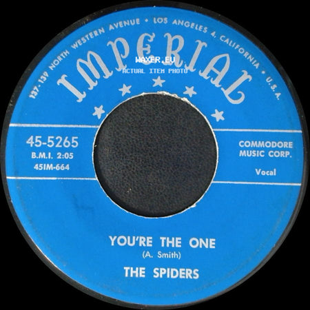 The Spiders - You're The One / I Didn't Want To Do It side A