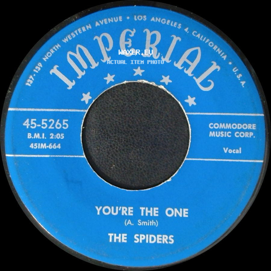 The Spiders - You're The One / I Didn't Want To Do It side A