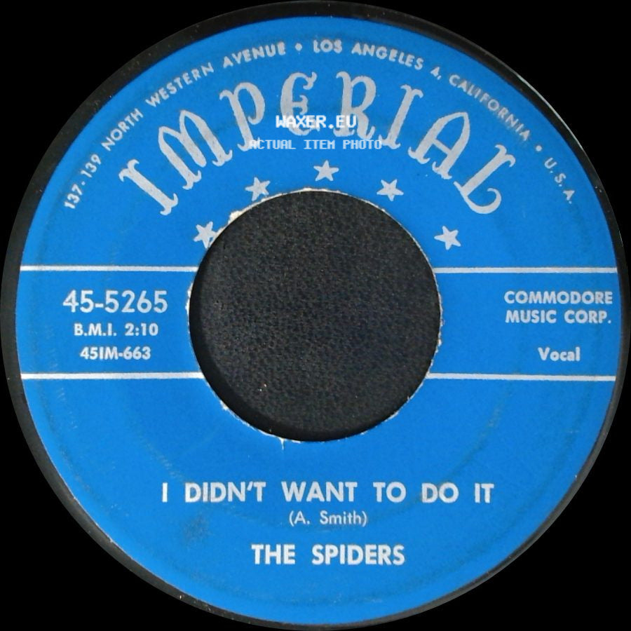 The Spiders - You're The One / I Didn't Want To Do It side B