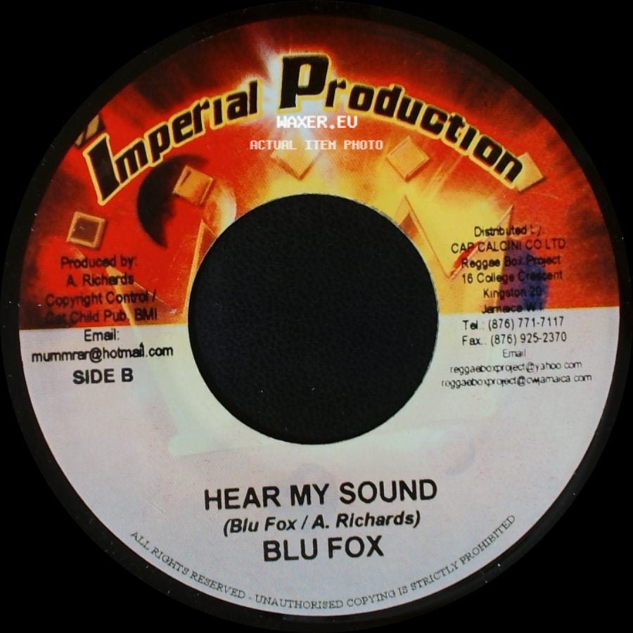 Gentleman & Chrisinti / Blu Fox - Struggle And Faith / Hear My Sound side B