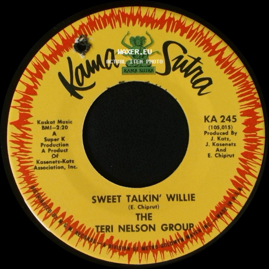 The Teri Nelson Group - Sweet Talkin' Willie / Back Side side A