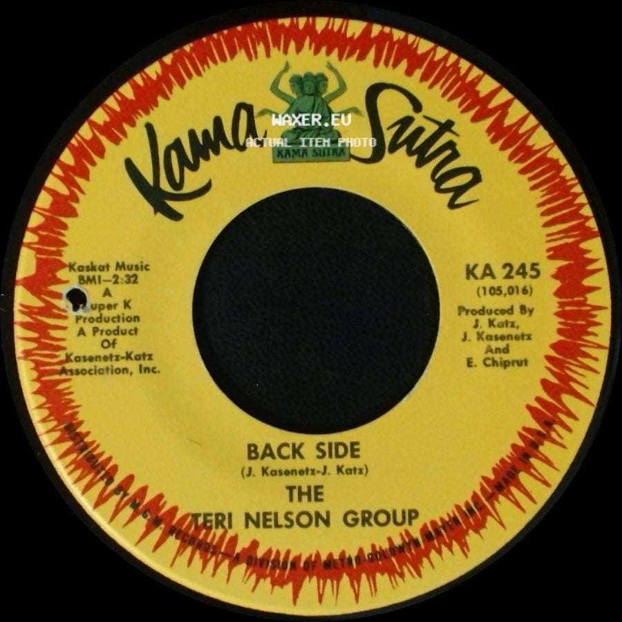 The Teri Nelson Group - Sweet Talkin' Willie / Back Side side B