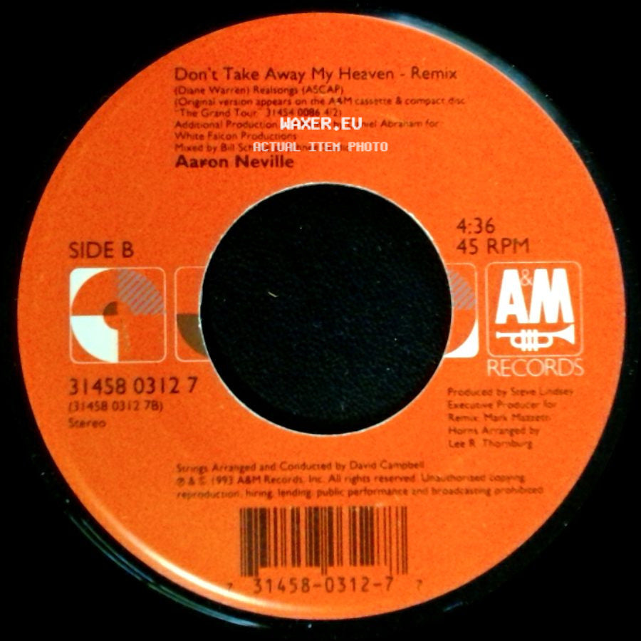 Aaron Neville - The Grand Tour - Lp Version / Don't Take Away My Heaven - Remix side B