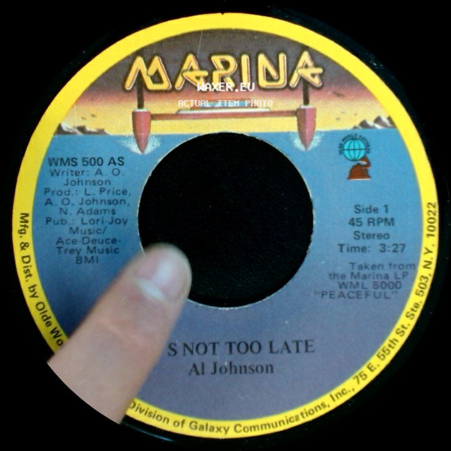 Al Johnson - It's Not Too Late / I'll Do Anything For You side A