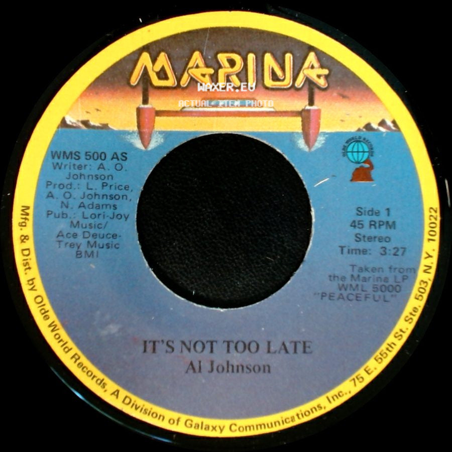 Al Johnson - It's Not Too Late / I'll Do Anything For You side A