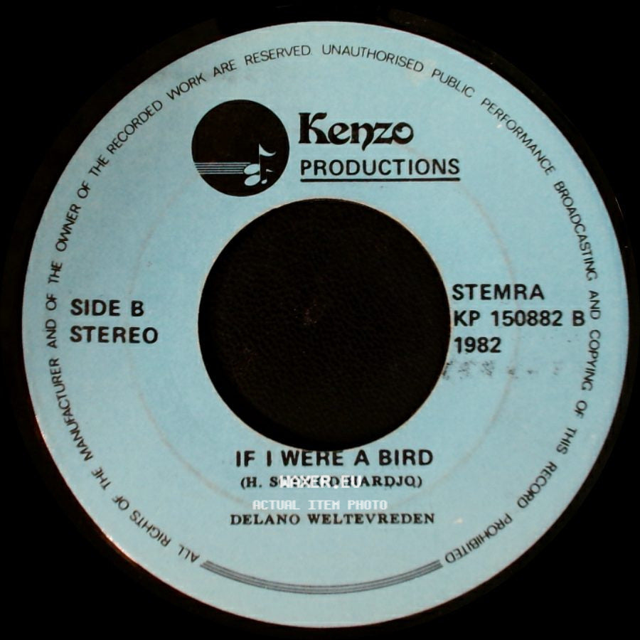 Delano Weltevreden - Lonely For You, Baby / If I Were A Bird side B
