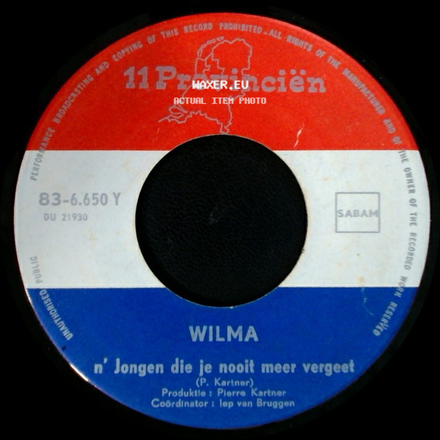 Wilma / Wilma Met Vader Abraham - N' Jongen Die Je Nooit Meer Vergeet / Zou Het Erg Zijn Lieve Opa side A