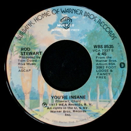 Rod Stewart - Hot Legs / You're Insane side B