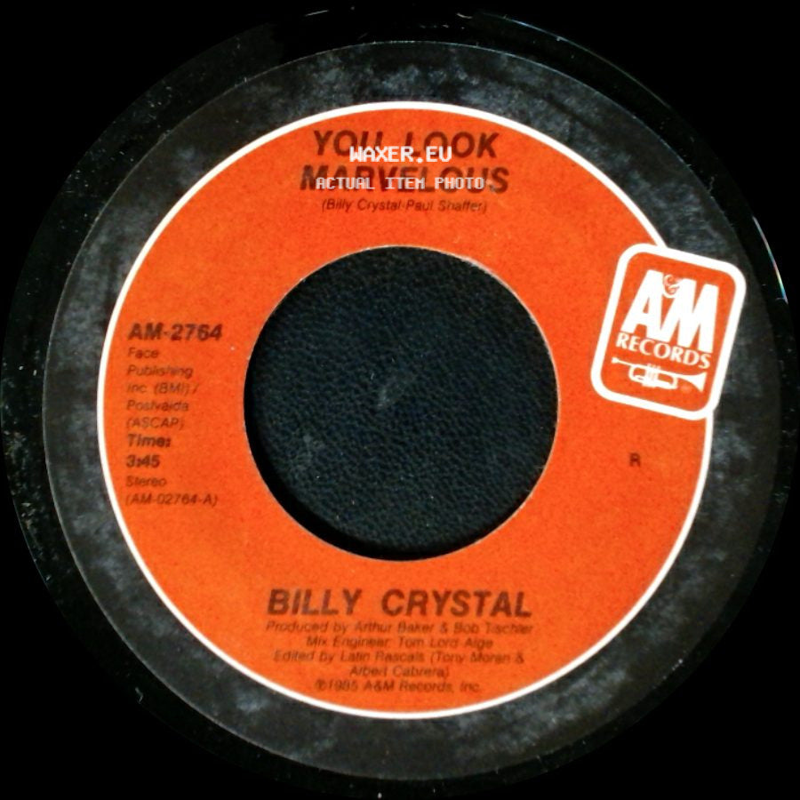 Billy Crystal - You Look Marvelous Dub Version / You Look Marvelous side B
