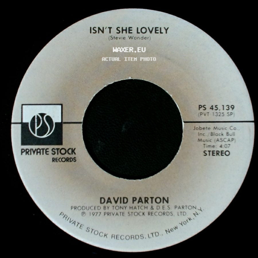 David Parton - Love And Peace Of Mind / Isn't She Lovely (Stevie Wonder) side B