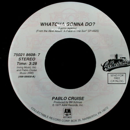 Pablo Cruise - Whatcha Gonna Do? / A Place In The Sun side A