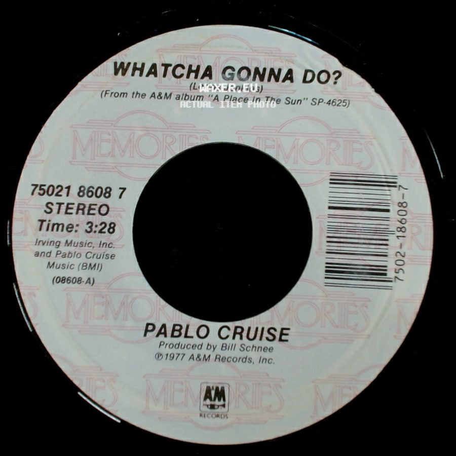 Pablo Cruise - Whatcha Gonna Do? / A Place In The Sun side A