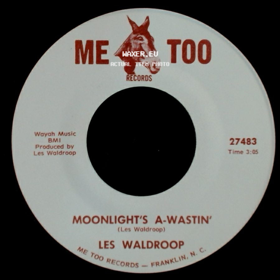 Les Waldroop - Watergate Bugs / Moonlight's A-Wastin' side B