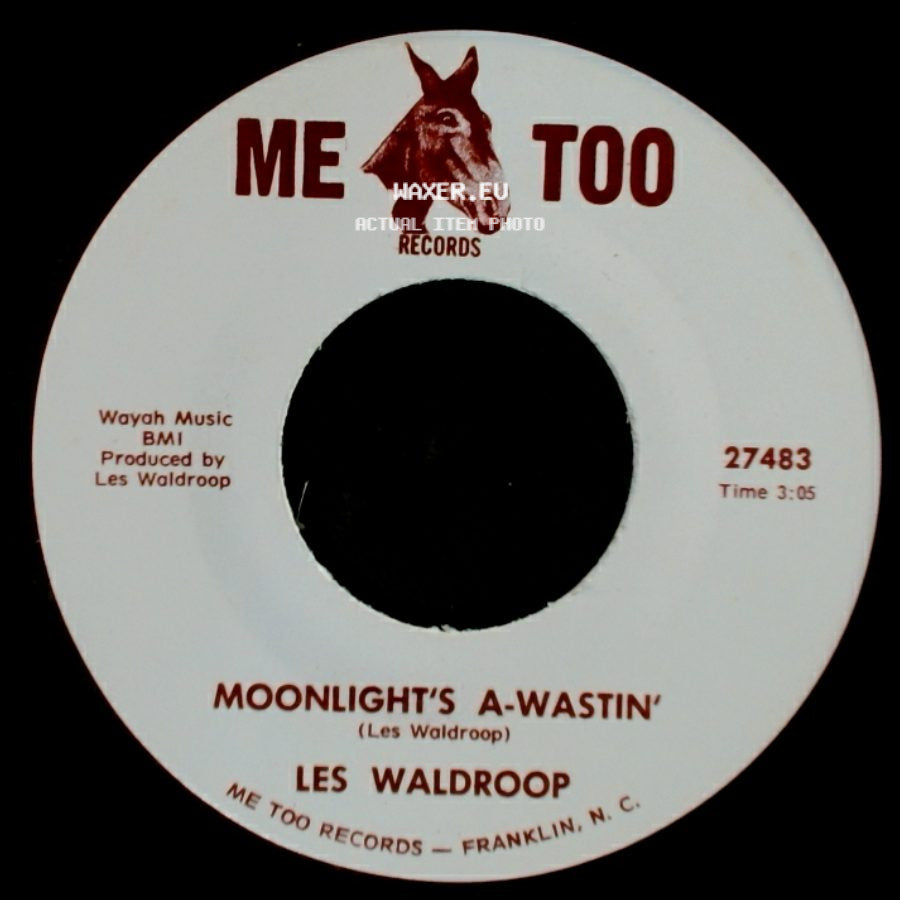 Les Waldroop - Moonlight's A-Wastin' / Watergate Bugs side A