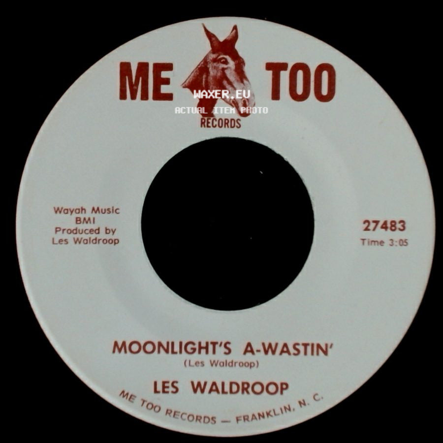 Les Waldroop - Watergate Bugs / Moonlight's A-Wastin' side B