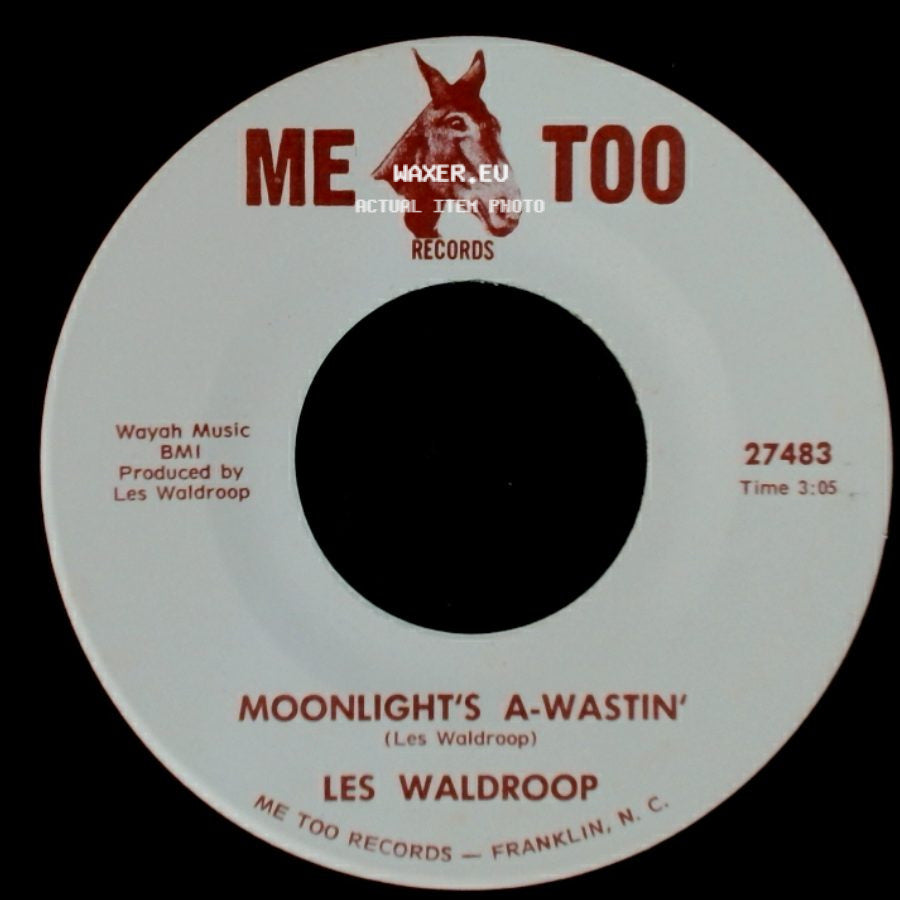 Les Waldroop - Watergate Bugs / Moonlight's A-Wastin' side B