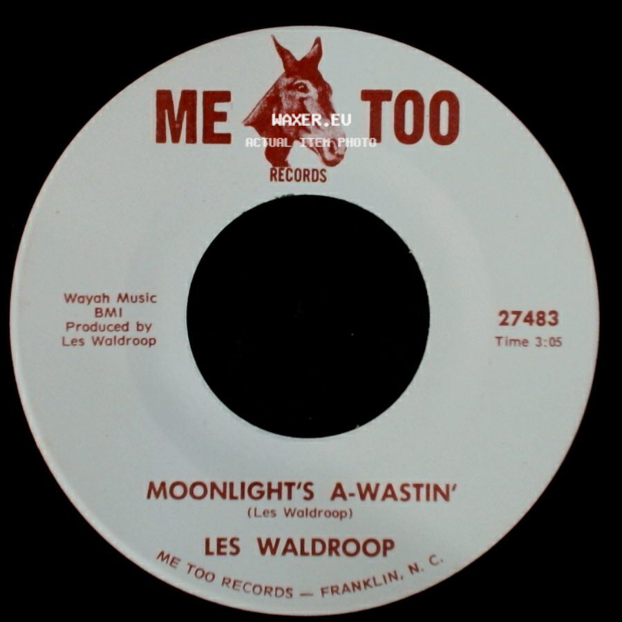 Les Waldroop - Moonlight's A-Wastin' / Watergate Bugs side A