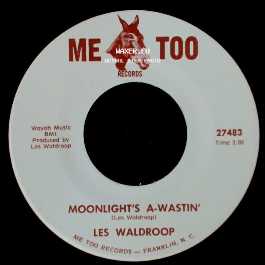 Les Waldroop - Moonlight's A-Wastin' / Watergate Bugs side A
