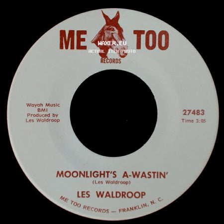 Les Waldroop - Watergate Bugs / Moonlight's A-Wastin' side B