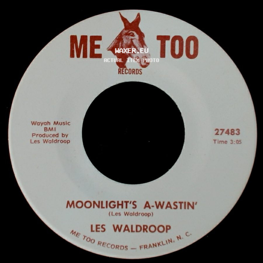 Les Waldroop - Watergate Bugs / Moonlight's A-Wastin' side B