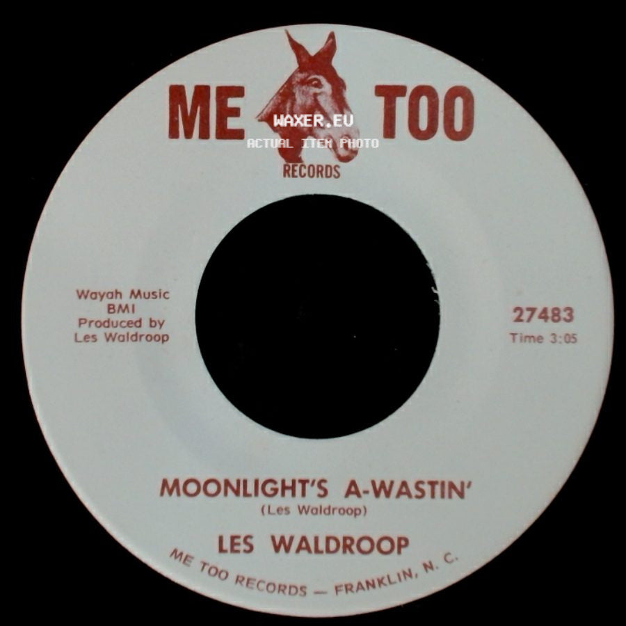 Les Waldroop - Watergate Bugs / Moonlight's A-Wastin' side B