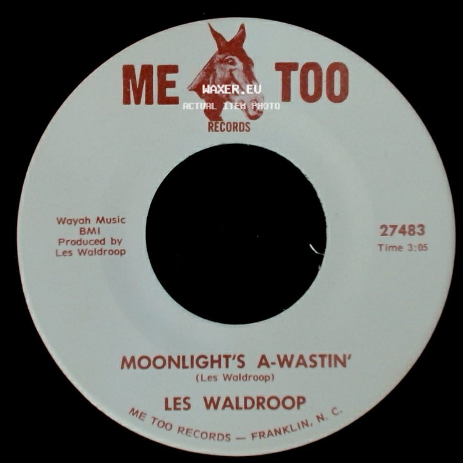 Les Waldroop - Watergate Bugs / Moonlight's A-Wastin' side B