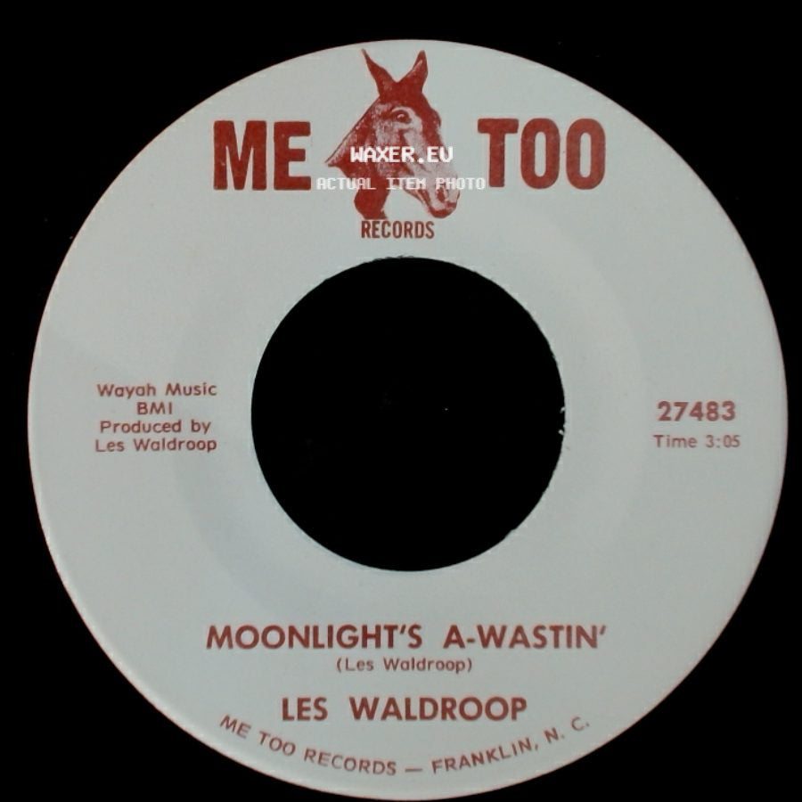Les Waldroop - Watergate Bugs / Moonlight's A-Wastin' side B