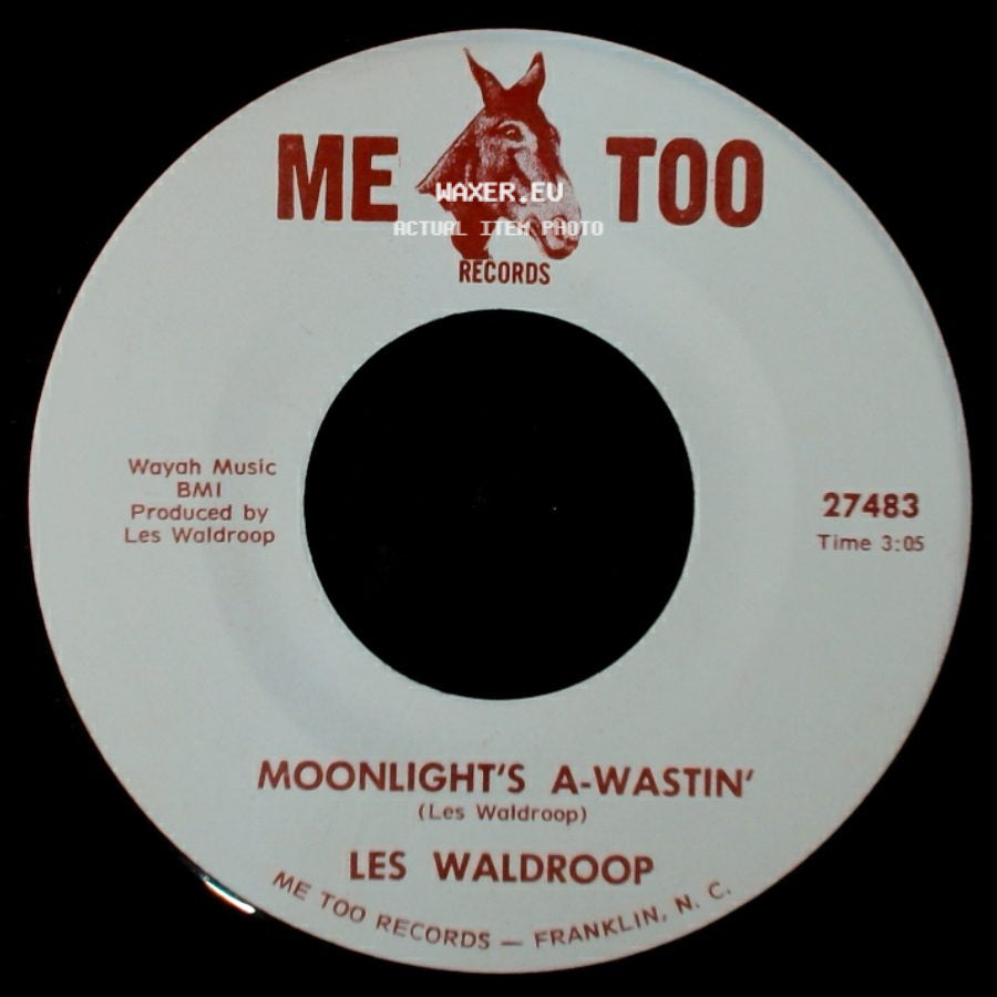 Les Waldroop - Watergate Bugs / Moonlight's A-Wastin' side B