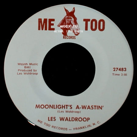 Les Waldroop - Watergate Bugs / Moonlight's A-Wastin' side B